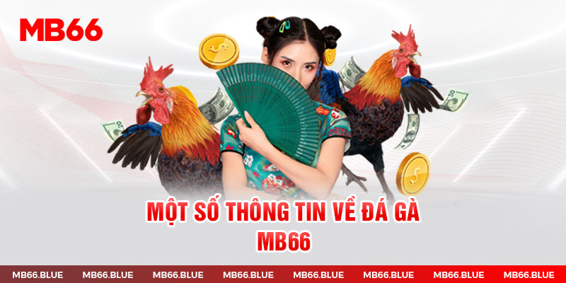 Tổng quát về đá gà MB66